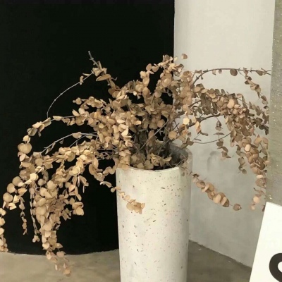 Furry插画故事感灵感FurryQQ群